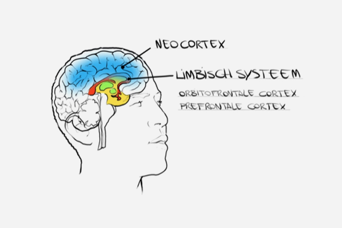 cognitieve neuropsychologie